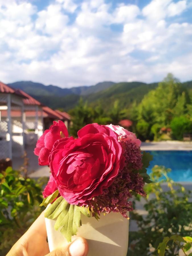 Bliss Hotel Gabala Exterior photo